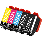 Box Set T202XL BLK,PBLK,CYA,MAG,YELL